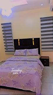 Luxury 2 bedroom flat apartment heart of Lekki - 1