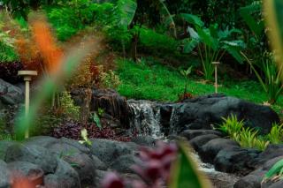 Green Oasis Retreat Bali - 2