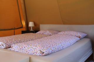 Alpakkaparken Glamping med parktilgang - 1