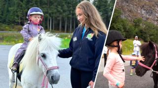 Alpakkaparken Glamping med parktilgang - 1