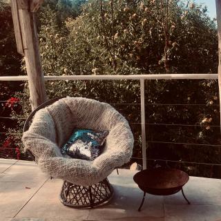 Maison Conscience sans alcool ni tabac vegetarienne - 7