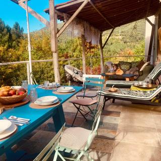 Maison Conscience sans alcool ni tabac vegetarienne - 0