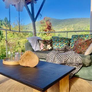 Maison Conscience sans alcool ni tabac vegetarienne - 6