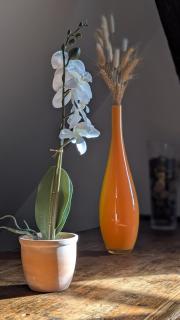 Les Perles du Ried - Gîte 202 - 6