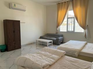 Palm and wave - Ţīwī - 5