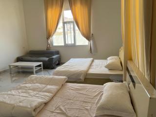 Palm and wave - Ţīwī - 1