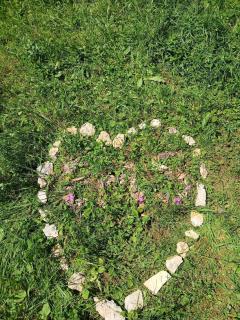 La Ferme du Bois de l'Halle - 4