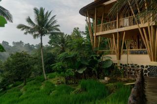 Green Oasis Retreat Bali - 1