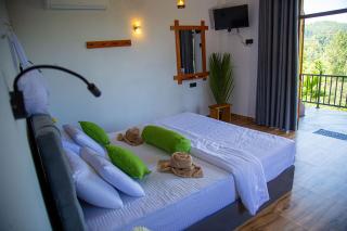 Tunnel Top Inn Ella - 1