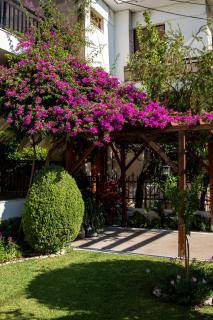 Harision Residence - 9