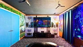 Opulent Villa: Heated Pool, Theater, Game Room - 5