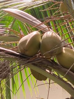 Sumanguru Airport Studios - 7