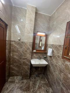 The Ashoka Tiger - 3