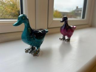 2 bedroom cosy home - 6