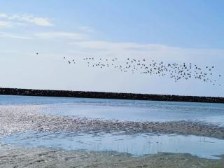 6 person holiday home in Ebeltoft - 7