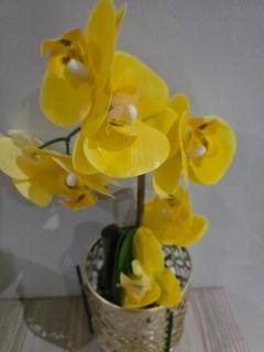 Green Forest Executive Suites - 9