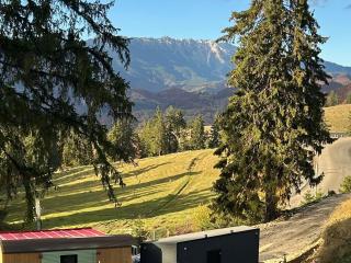 Virajlux - Dîmbovicioara - 6