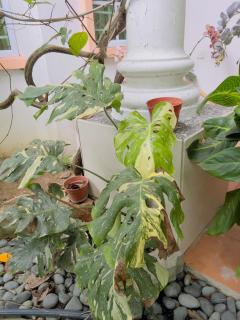 Homestay VillaSolihin Sungai Buloh - 6