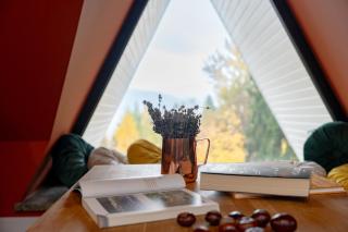 Willa Bukowy Las - Everslow - 5