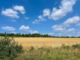 Idillic Barn - Hot Tub - Orchardleigh Frome - 4