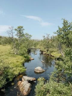 Hand-Built Log Cabin By The Lake In Vemdalen - 4