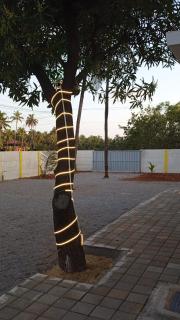 His Grace Beach Avenue & Camping - Malpe Beach - 1