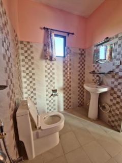 Hotel Tree Tops- A Serene Friendly Hotel in Sauraha - 6