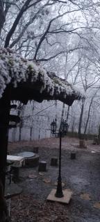 Őzike-Lak a Börzsönyben - 5