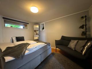 Stavanger BnB 1 Family Apartment with Private Sauna Free Bikes - 4