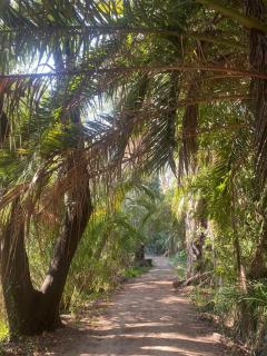 Glamping, Piscina, Río y Bosque - Más Líderes Experiencias - 2