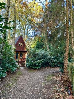 Boshuisje Rekem - Sylva - 8