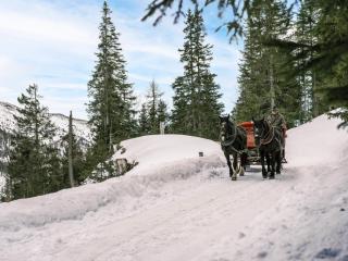 Falkensteiner Aktiv & Familienhotel Cristallo - 1