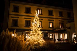 Maxmilian Lifestyle Resort - 3