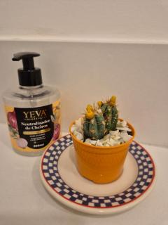 Full Double Studio - A7 VIX - Unique in Vix - 8