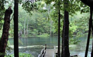 Peaceful Pet-Friendly Cabin Rental on St. Marks River near Tallahassee, Florida - 1