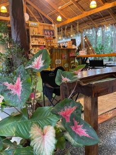 Khao Phang Camping - 3