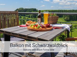 Apartments zum alten Spital | Sauna | Wellnessbreich | Aufzug - 4