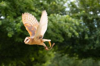 La bulle enchantée - 5