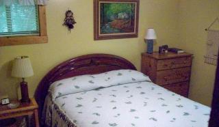 Comfortable Cottage Nestled on a Creek near Great Smoky Mountains National Park, Tennessee - 4