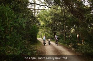 Arba Resort, Valamar Collection - 1