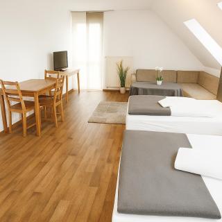 SUNNYHOME Monteurwohnungen und Apartments in Schwandorf - 3