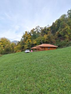 Brvnara, Bogutovačka Banja - 8