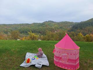 Brvnara, Bogutovačka Banja - 7