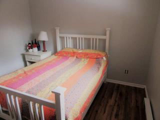 Charming Cabin Retreat in the Foothills of the Adirondacks in Fort Ann, New York - 1