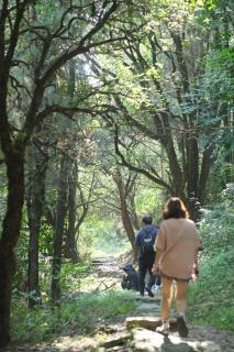 Geemu Resort Yangshuo - 4