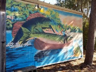 Rustic Vacation Rental with a Charming Dock in Ocala National Forest, Florida - 4