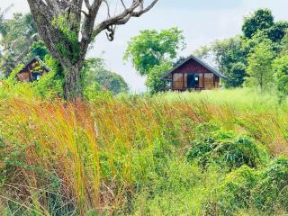 Kolla Watersong Eco Cabana Resort Sigiriya - 5