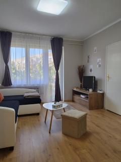 Cozy Apartment 1 BR Free parking Free wifi - 4