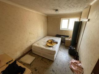 Pink Trees place! - 0