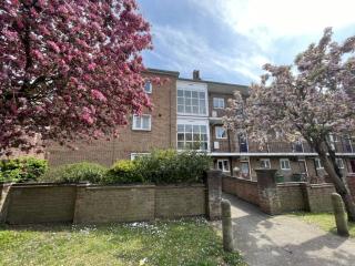 Pink Trees place! - 6